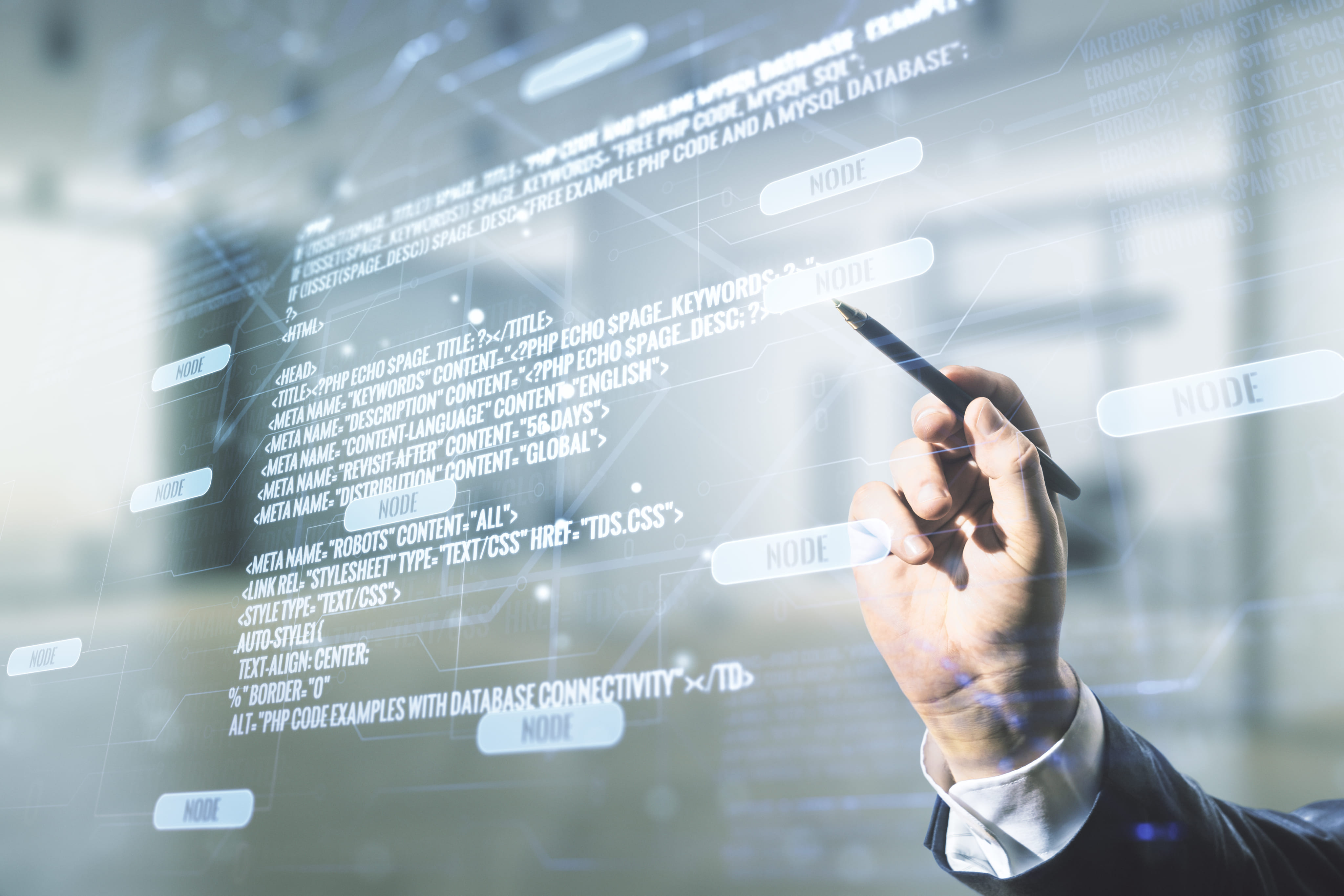 플랫폼 및 앱 개발